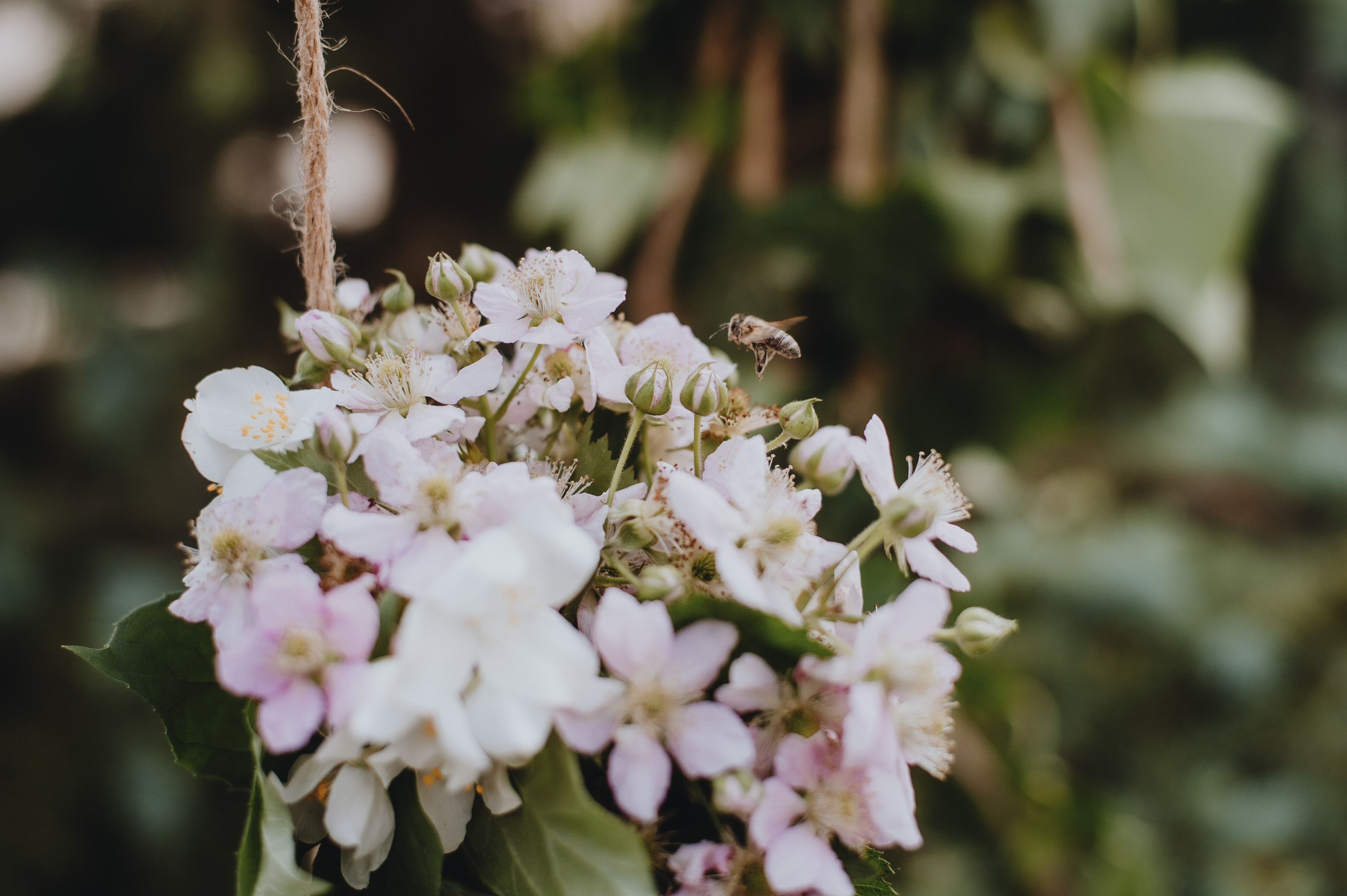Floral Bloom